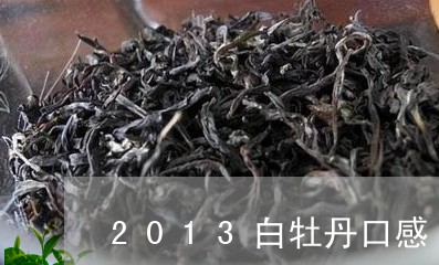 2013白牡丹口感/2023120514149