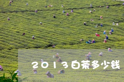 2013白茶多少钱/2023071327381