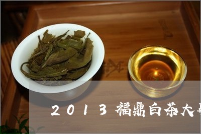 2013福鼎白茶大事/2023092056362