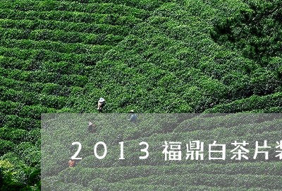 2013福鼎白茶片装/2023092049375