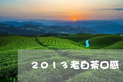 2013老白茶口感/2023121581717