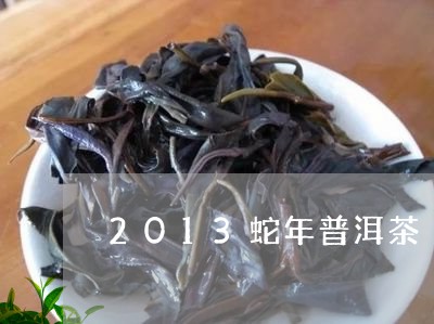 2013蛇年普洱茶/2023070914038