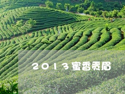 2013蜜香贡眉/2023090730483