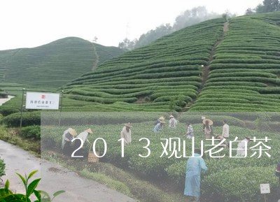 2013观山老白茶/2023071337257