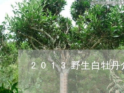 2013野生白牡丹介绍/2023092342749