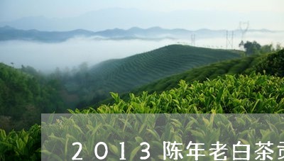 2013陈年老白茶贡眉/2023092569279