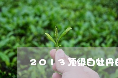 2013顶级白牡丹白茶/2023092376371