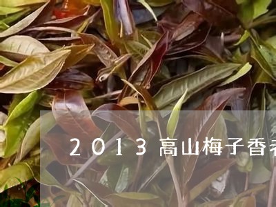 2013高山梅子香老白茶/2023111734047