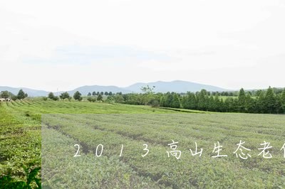 2013高山生态老白茶/2023082668170