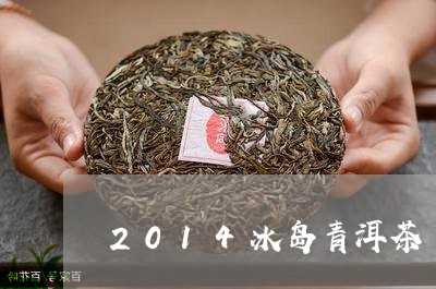 2014冰岛青洱茶/2023042687270