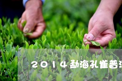 2014勐海孔雀普洱茶数量/2023052718591