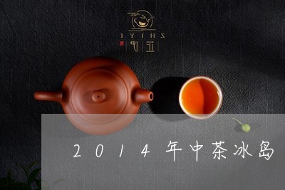 2014年中茶冰岛/2023042615038