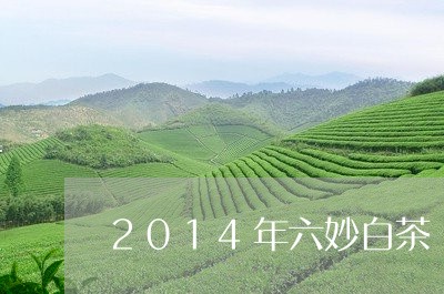 2014年六妙白茶/2023121551603