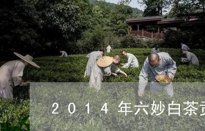 2014年六妙白茶贡眉/2023092593748