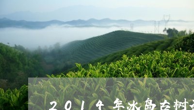 2014年冰岛古树茶/2023092449481