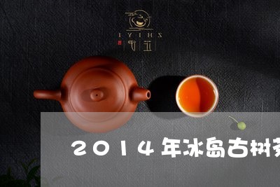 2014年冰岛古树茶价格表/2023052730593