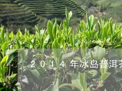 2014年冰岛普洱茶价格表/2023052968405