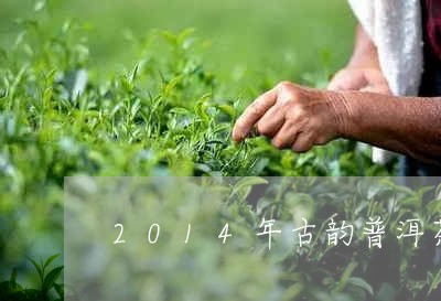 2014年古韵普洱茶/2023080382715