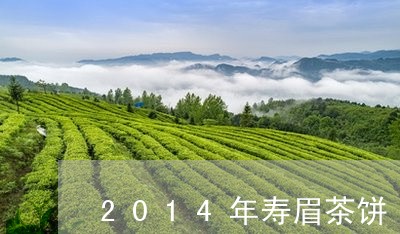 2014年寿眉茶饼/2023120479393