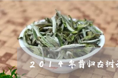 2014年昔归古树茶/2023071613159