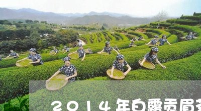 2014年白露贡眉茶/2023092104827