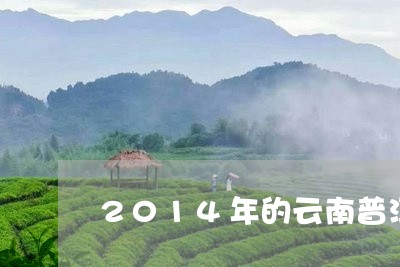 2014年的云南普洱茶饼多少钱/2023060263028