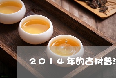 2014年的古树普洱茶/2023110571603