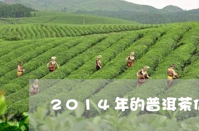 2014年的普洱茶价/2023080310504