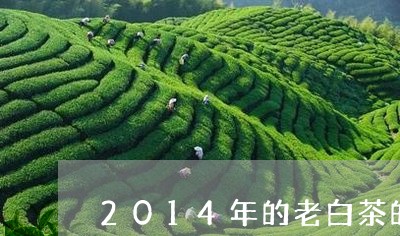 2014年的老白茶的功效与作用/2023111579403