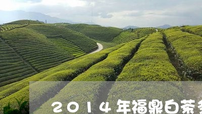 2014年福鼎白茶多少钱/2023092597040