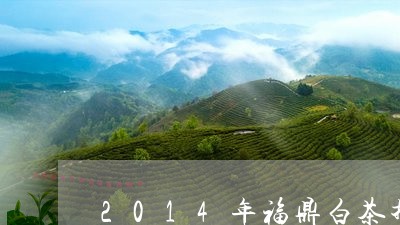 2014年福鼎白茶推荐/2023092209262