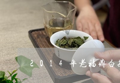 2014年老福鼎白茶/2023092095082