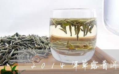 2014年草露普洱茶/2023062778353