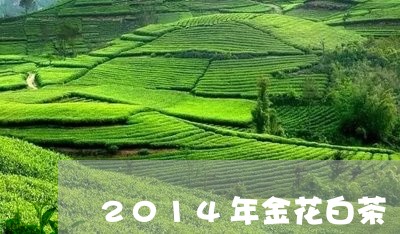 2014年金花白茶/2023071309471