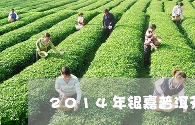 2014年银嘉普洱茶/2023080228350