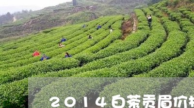 2014白茶贡眉价格/2023120853028