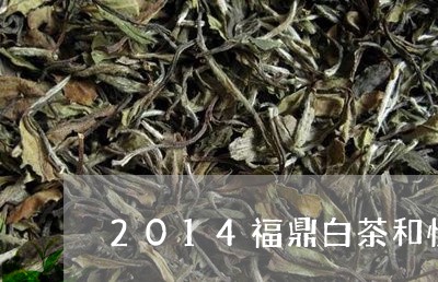 2014福鼎白茶和悦茶/2023092129392