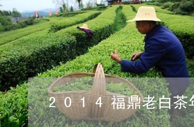 2014福鼎老白茶年轮/2023092228472