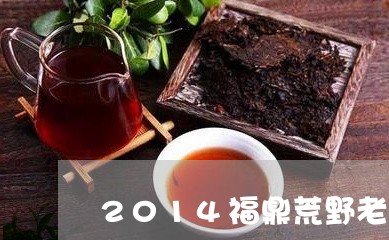 2014福鼎荒野老白茶/2023111628502