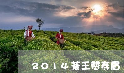 2014茶王赞寿眉/2023091237692