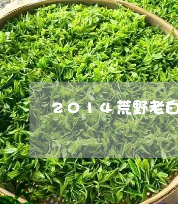 2014荒野老白茶/2023082572917