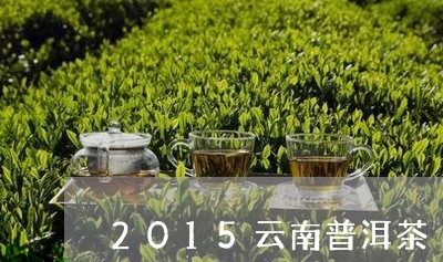 2015云南普洱茶/2023091452836