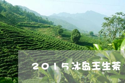 2015冰岛王生茶/2023042634736