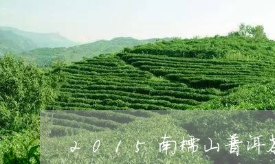 2015南糯山普洱茶/2023120670604