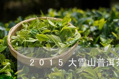 2015大雪山普洱茶/2023092961614