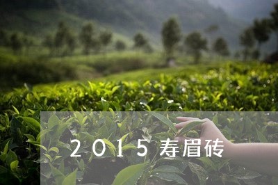 2015寿眉砖/2023112505260