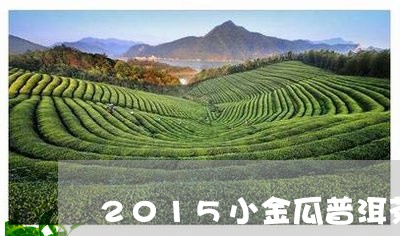 2015小金瓜普洱茶/2023062851504