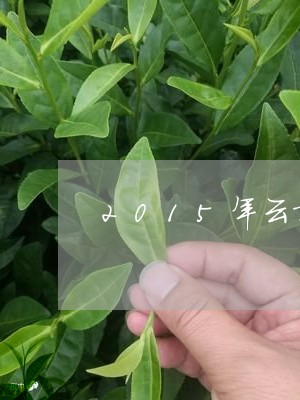 2015年云章普洱茶/2023080258271