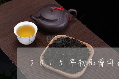 2015年初见普洱茶/2023111053725