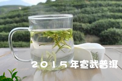 2015年宣武普洱/2023042710815